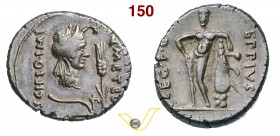 CAECILIA - Q. Caecilius Metellus Pius Scipio Imperator (47-46 a.C.) Denario. D/ Testa piccola dell'Africa con pelle di elefante; davanti una spiga e s...