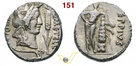 CAECILIA - Q. Caecilius Metellus Pius Scipio Imperator (47-46 a.C.) Denario. D/ Testa grande dell'Africa con pelle di elefante; davanti una spiga e so...