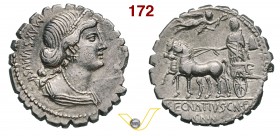 EGNATIA - Cn. Egnatius Cn. f. Cn. n. Maxsumus (75 a.C.) Denario. D/ Busto di Venere; sulla spalla un piccolo Cupido R/ La Libertà conduce una quadriga...