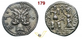 FURIA - M. Furius L.f. Philus (119 a.C.) Denario. D/ Testa di Giano R/ Roma incorona un trofeo alla base del quale vi sono due scudi e due trombe gall...