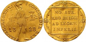 Russia Ducat 1828 RR
Bit# 21 R1; Gold 3,48 g, Saint-Petersburgh mint; Mint lustre; Precious collectible sample; Very rare; The Netherlands ducat imit...