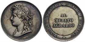 SAVOIA - Vittorio Emanuele III (1900-1943) - Medaglia - Al merito agrario - Testa a s. - R/ Scritta Opus: Speranza Ø: 40 mm. - (AG g. 21,5) Colpetti d...