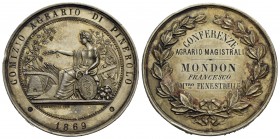 CITTA' - Pinerolo - Medaglia - 1869 - Comizio Agraio Opus: Restelli Ø: 44 mm. - (AG g. 49,7) Colpo
SPL-FDC