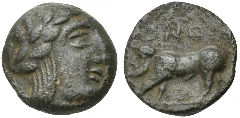 Southern Campania, Irnum, Bronze, ca. 250-225 BC. AE (g 3,24; mm 16; h 12). Laur...