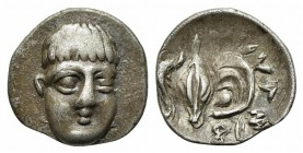 Southern Campania, Phistelia, Obol, ca. 325-275 BC. AR (g 0,55; mm 10; h 12). Male head facing slightly r.; Rv. Dolphin, barley grain, and mussel shel...