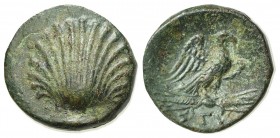Southern Apulia, Sturni, Bronze, ca. 250-210 BC. AE (g 1,98; mm 14; h 6). Cockle shell; Rv. ΣTV, Eagle, wings spread, standing r. on thunderbolt. HNIt...
