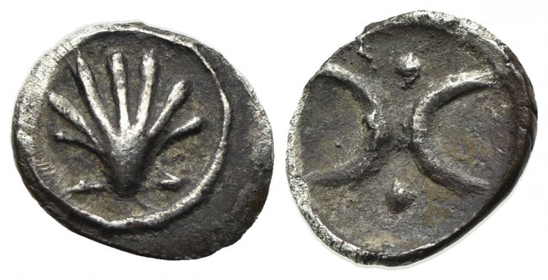 Southern Apulia, Tarentum, Hemiobol, ca. 380-325 BC. AR (g 0,22; mm 7; h 12). Sh...