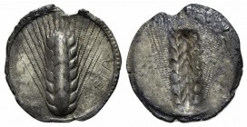 Southern Lucania, Metapontion, Stater, ca. 540-510 BC; AR (g 7,82; mm 29; h 12). META, Barley-ear; Rv. Incuse barley ear. Noe 75; HNItaly 1467. Toned,...