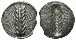 Southern Lucania, Metapontion, Stater, ca. 530-500 BC; AR (g 6,22; mm 24; h 12). ME-TA, Ear of barley; Rv. Incuse ear of barley. Noe 97; SNG ANS 203; ...