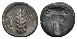 Southern Lucania, Metapontion, Triobol, ca. 470-440 BC; AR (g 1,31; mm 12; h 6); Barley ear; Rv. Incuse bucranium. Noe 283; HNItaly 1487. Toned, very ...