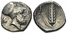 Southern Lucania, Metapontion, Stater, ca. 340-330 BC. AR (g 7,68; mm 21; h 11). Helmeted head of Leukippos r.; to l., lion head r.; Rv. MET[A], Barle...