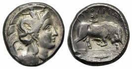 Southern Lucania, Thourioi, Distater, ca. 350-300 BC;. AR (g 15,31; mm 25; h 9). Head of Athena r., wearing crested Corinthian helmet decorated with S...