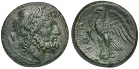 Bruttium, The Brettii, Drachm, ca. 214-211 BC; AE (g 8,09; mm 22; h 11); Laureate head of Zeus r.; grain ear behind; Rv. BPETTIΩN, Eagle standing l., ...