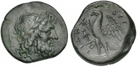 Bruttium, The Brettii, Drachm, ca. 214-211 BC; AE (g 6,66; mm 22; h 9); Laureate head of Zeus r.; harpa behind; Rv. BPETTIΩN, Eagle standing l. on thu...
