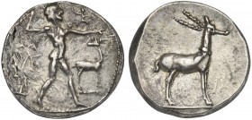 Bruttium, Kaulonia, Stater, ca. 475-425 BC. AR (g 8,20; mm 20; h 6). KAV, Apollo standing r., holding branch and small figure running; on r., stag, Rv...