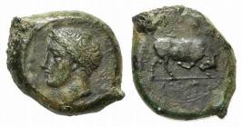 Sicily, Adranon, Bronze, ca. 339-317 BC; AE (g 9,80; mm 21; h 3). Head of horned river-god l., wearing tainia; Rv. Bull charging r. Campana 7; CNS 4; ...