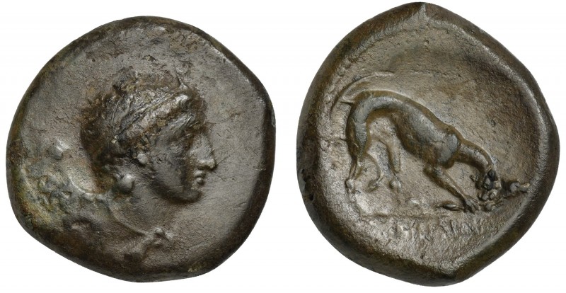 Sicily, Agyrion, Hemilitron, ca. 338-317 BC. AE (g 14,93; mm 28; h 5). Male head...