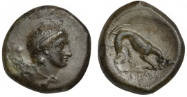 Sicily, Agyrion, Hemilitron, ca. 338-317 BC. AE (g 14,93; mm 28; h 5). Male head r. R/ AΓYPINAIΩN, Hound scenting r. Campana 12; CNS 12; SNG ANS -; HG...