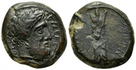 Sicily, Aitna, Hemidrachm, ca. 344-339/8 BC. AE (g 11,23; mm 23; h 3). ZEYΣ EΛEYΘEPIOΣ, Laureate head of Zeus Eleutherios r.; Rv. AITNAIΩN, Upright th...