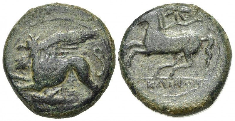 Sicily, "Kainon", ca. 360-340 BC. AE (g 8,60; mm 22; h 12). Griffin springing l....