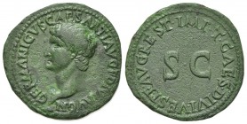 Germanicus (died AD 19), As, Rome, Restitution issue struck under Titus, AD 80-1. AE (g 9.36; mm 27; h 7). GERMANICVS CAESAR TI AVG F DIVI AVG N, bare...