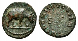 Domitian (81-96), Quadrans, Rome, 84-5. AE (g 1,99; mm 14; h 8). IMP DOMIT AVG GERM around large SC; Rv. Rhinoceros advancing r. RIC 249. Green patina...