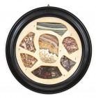 Lithothèque, 21th century; diam cm 45; Collection of ancient and rare marbles, polished in modern times and arranged in a black frame as precious furn...