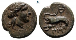 Mysia. Priapos circa 100-0 BC. Bronze Æ