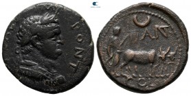 Pisidia. Antioch. Titus, as Caesar AD 76-78. Bronze Æ