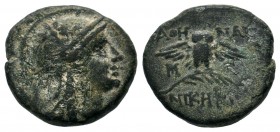 Ancient Greek Coins, Ae - 1st - 2nd Century BC. MYSIA. Pergamon. Ae 
Condition: Very Fine

Weight: 3,48 gr
Diameter: 15,90 mm