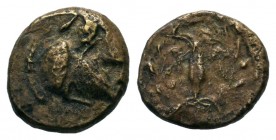 Ancient Greek Coins, Ae - 1st - 2nd Century BC.
Condition: Very Fine

Weight: 0,97 gr
Diameter: 10,75 mm