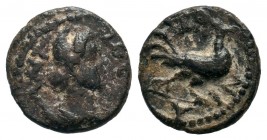 Ancient Greek Coins, Ae - 1st - 2nd Century BC.
Condition: Very Fine

Weight: 1,34 gr
Diameter: 12,90 mm