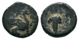 Ancient Greek Coins, Ae - 1st - 2nd Century BC.
Condition: Very Fine

Weight: 1,62 gr
Diameter: 11,90 mm