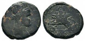 Ancient Greek Coins, Ae - 1st - 2nd Century BC. SELEUKIS & PIERIA.
Condition: Very Fine

Weight: 6,36 gr
Diameter: 18,10 mm