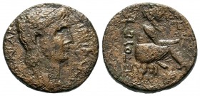 Claudius (41-54 AD). AE23 (7.94 g), Mallos, Cilicia.

Weight: 8,06 gr
Diameter: 22,50 mm