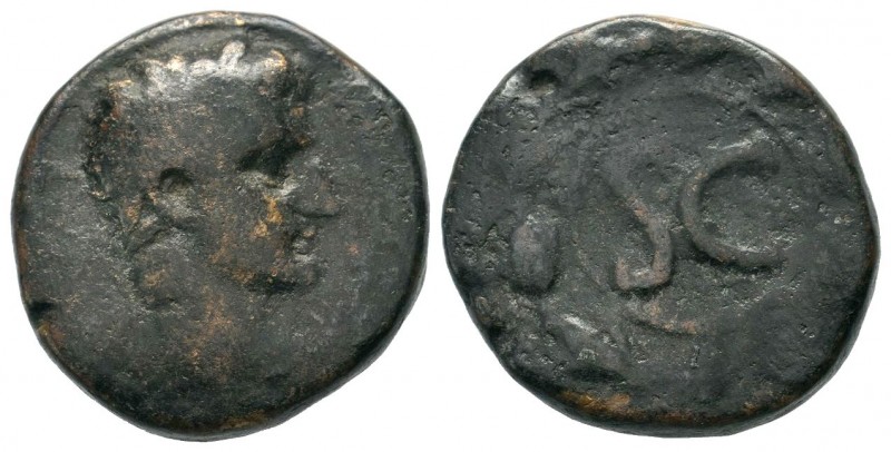 Seleucis and Pieria. Antiochia ad Orontem. Augustus. 27 B.C.-A.D.

Weight: 15,44...