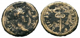 Trajan. 98-117 AD. AE 

Weight: 2,92 gr
Diameter: 16,85 mm