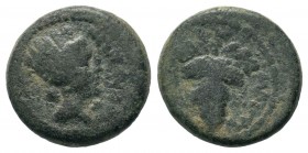 Seleucis and Pieria. Antiochia ad Orontem. Ae
Condition: Very Fine

Weight: 3,09 gr
Diameter: 4,75 mm