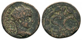 Seleucis and Pieria. Antiochia ad Orontem. Elagabalus
Condition: Very Fine

Weight: 3,83 gr
Diameter: 28,20 mm