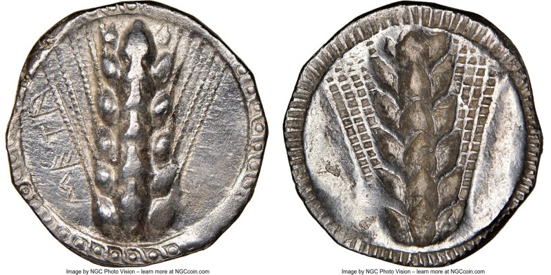LUCANIA. Metapontum. Ca. 510-470 BC. AR stater (23mm, 7.57 gm, 12h). NGC Choice ...