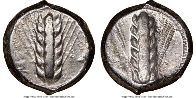 LUCANIA. Metapontum. Ca. 470-440 BC. AR stater (18mm, 7.94 gm, 6h). NGC Choice V...