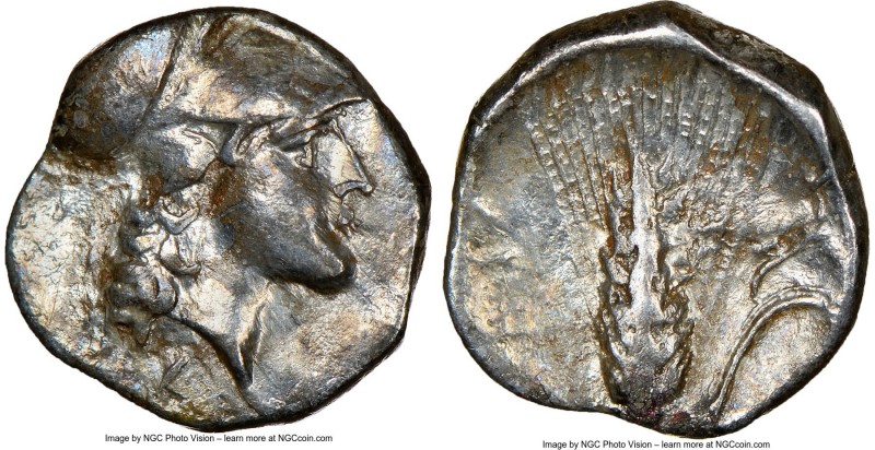 LUCANIA. Metapontum. Ca. 325-275 BC. AR diobol (11mm, 7h). NGC Choice VF, brushe...
