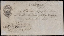 Cardigan 1 Guinea Unissued Remainder circa 1830-90's (Outing 427b) embossed revenue stamp for 4 pence, printed by Johnson fc, Bristol, VF-GVF