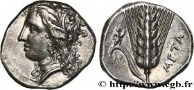 LUCANIA - METAPONTUM
Type : Nomos, statère ou didrachme 
Date : c. 300-280 AC. 
Mint name / Town : Métaponte, Lucanie 
Metal : silver 
Diameter : 20,5...