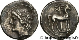 ZEUGITANA - CARTHAGE
Type : Demi-shekel 
Date : c. 215-205 AC. 
Mint name / Town : Carthage, Zeugitane 
Metal : silver 
Diameter : 19  mm
Orientation ...