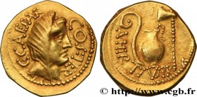 JULIUS CAESAR
Type : Aureus 
Date : 46 AC. 
Mint name / Town : Rome 
Metal : gold 
Millesimal fineness : 1000  ‰
Diameter : 19,5  mm
Orientation dies ...