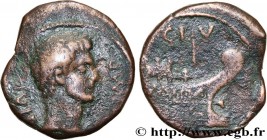 GALLIA - VIENNA - VIENNE - OCTAVIAN
Type : Dupondius à la galère 
Date : 30-25 AC. 
Mint name / Town : Vienne, Gaule 
Metal : bronze 
Diameter : 27,5 ...