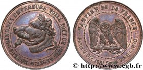 SATIRICAL COINS - 1870 WAR AND BATTLE OF SEDAN
Type : Monnaie satirique, module de 10 centimes à la tête de cochon 
Date : 1870 
Metal : bronze 
Diame...