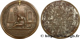 THE CONVENTION
Type : Médaille, Hommage à chaque représentant du Peuple 
Date : 1795 
Metal : copper 
Diameter : 55,5  mm
Engraver : Palloy Pierre-Fra...