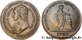 LOUIS XVII
Type : Médaille pour la mort de Louis XVII 
Date : 1795 
Metal : copper 
Diameter : 31,5  mm
Weight : 12,9  g.
Edge : cannelée 
Rarity : R2...